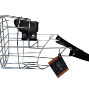 Chopo Neufundländer Rüde