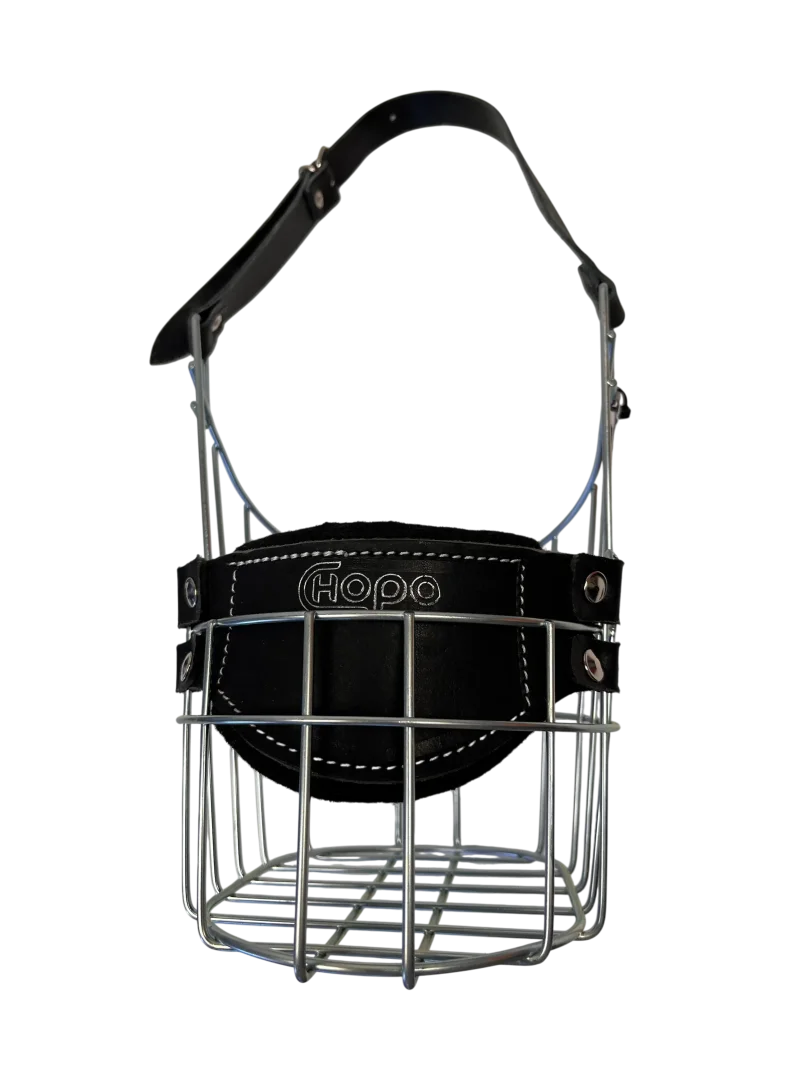 Chopo Neufundländer Rüde