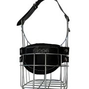 Chopo Neufundländer Rüde