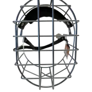 Chopo Neufundländer Rüde