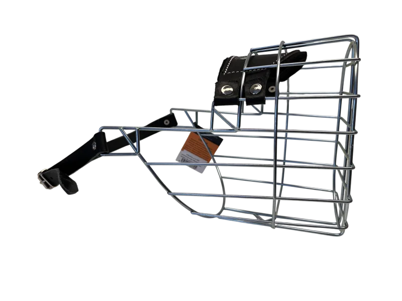 Chopo Neufundländer Rüde