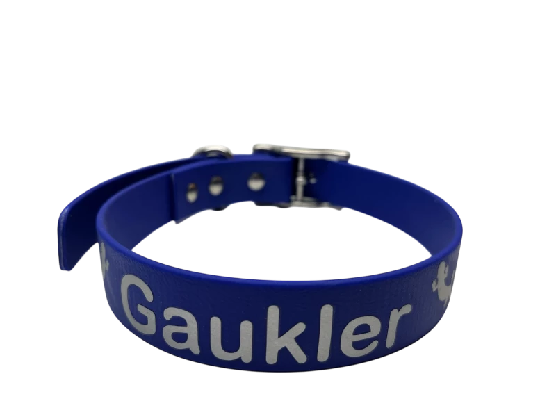 Hundehalsband in blau mit dem Namen Gaukler