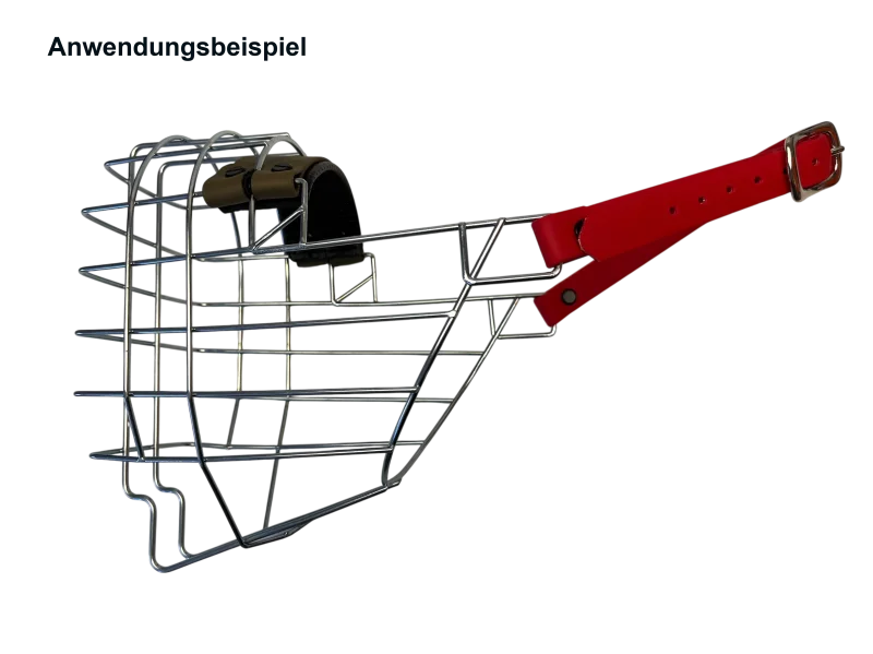 Nackenriemen für Metallmaulkorb